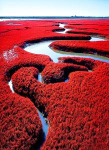 playa roja en china